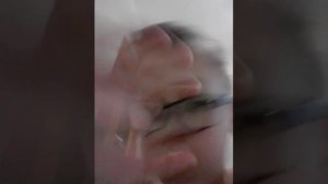 Как чихнуть с открытыми глазами