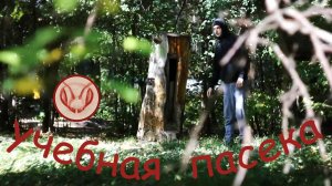 Обзор учебно-опытной пасеки Тимирязевской Академии в Москве