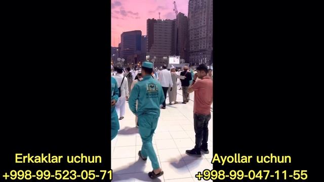 ШОШИЛАМИЗ УМРАГА АРЗОН БИЛЕТ БОР 4 НОЯБРГА смотреть онлайн