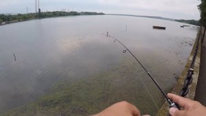 На рыбалку в Солнечнодольске)