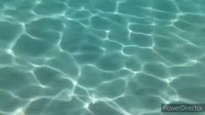 Коралловый риф , отель Barcelo Tiran, Sharm El Sheikh