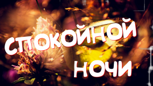 Доброй Ночи! Самое красивое пожелание спокойной ночи✨сладких снов! Музыкальная видео открытка