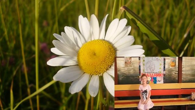 Открытка "День семьи, любви и верности" смотреть онлайн