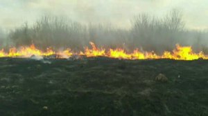 В Курске обсудили прохождение пожароопасного периода