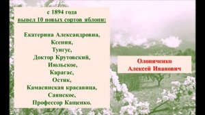 История садоводства в Красноярском крае