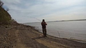 Рыбалка на РЕЗИНКУ!!! СОМ. Толстолоб. Краснопер. Конь.