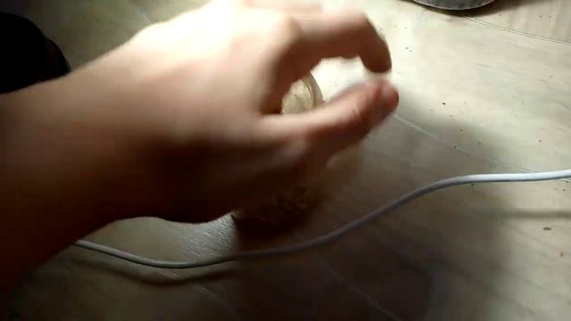 Что нужно знать перед тем как покупать Улитку Ахатина? Ответ тут! смотреть онлайн