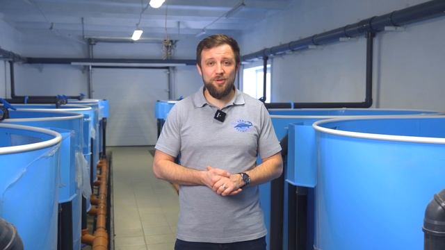 Как ИНКУБИРУЕТСЯ ИКРА на рыбоводной ФЕРМЕ УЗВ? | Все об ИНКУБАЦИИ видов рыб ВЫРАЩИВАЕМЫХ в УЗВ смотреть онлайн