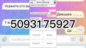 Как получить робуксы бесплатно?новый способ в телеграмм