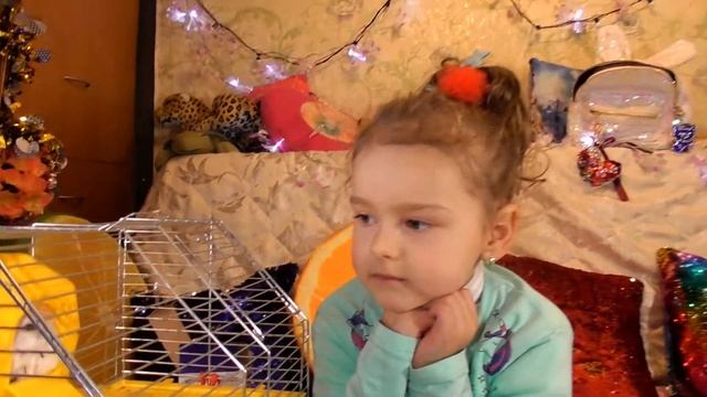 Покупки. #Зоовыпуск. ПРОГУЛОЧНЫЙ ШАР хомячку. Зоовыпуск АКВАРИУМ и многое другое в этом видео смотреть онлайн