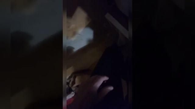 Как испечь настоящий черный хлеб в хлебопечи