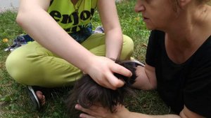 (Группа семьи) "Одеваем поводок на морскую свинку Люси Степановну" Дубль 1