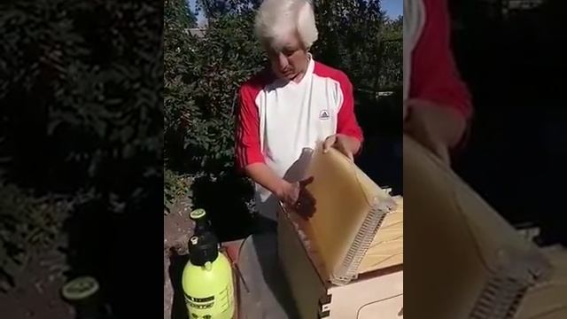 Установка рамок Flow и обработка сахарным сиропом смотреть онлайн