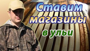 Установка магазинных надставок на ульи. Когда ставить магазин