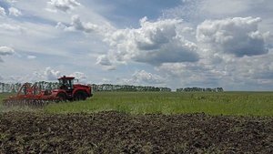 Трактор Кировец К-739М Ст1 с тяжелой дисковой бороной БДТ-5ПР на разработке залежных земель.