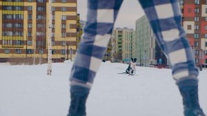 Зимние прогулки и тренировки с щенком бордера. Первая зима | бордер колли Веспер 5-8 месяцев