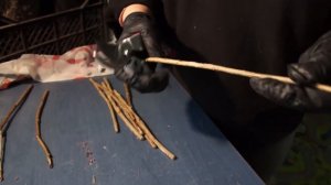 Черенкование смородины и крыжовника