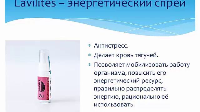 Екатерина Хазова Презентация лавилайтс