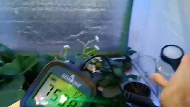 Фитолампы. Сравнение эффективности 3вт светодиодов и смд 2835. Самсунг. смотреть онлайн