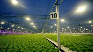 Европа с высоты птичьего полёта 1 сезон 1 серия «Нидерланды» (документальный сериал, 2019)