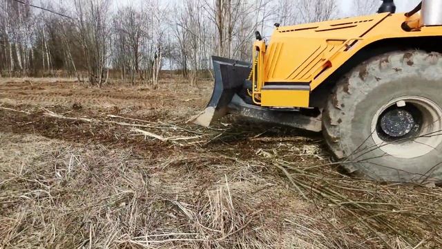 Восстановление залежных земель. Трактор МФ705 PRO с финским ротоватором Mericrusher MJS