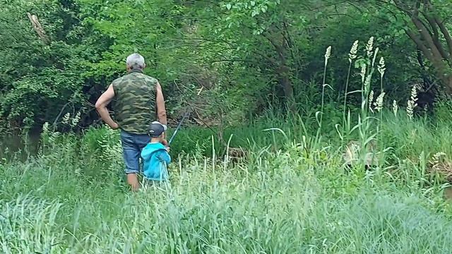 1-я рыбка внучка\\ дедушка плохому не научит\\ смотреть онлайн