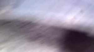 Пневмосистема Маз 5336 часть 2