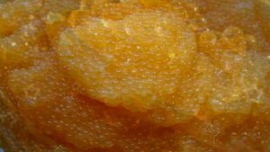 ИКРА ЩУКИ ПОЛЬЗА И ВРЕД | можно ли есть икру щуки, икра щуки польза, икра щуки отзывы