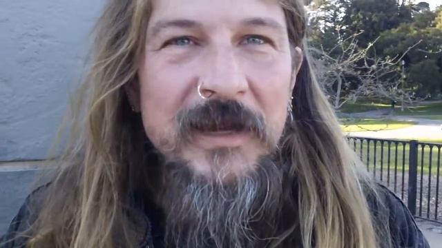 wizardology at the park смотреть онлайн