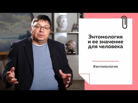 Культурный марафон. Энтомология и ее значение для человека