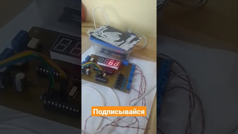 msp430 демо для индикатора