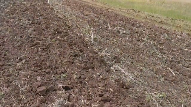 Дисковая борона Veles АН-8 БД и БДМ 6Х4 обработка стерни подсолнчника
