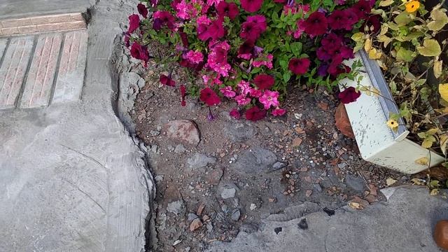 Дорожка по женски...