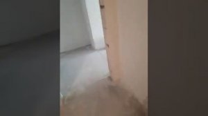 штукатурка. после высыхания.