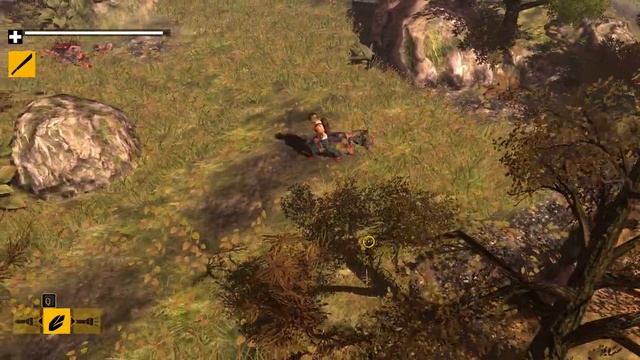 Nvidia GT620m HowToSurvive test