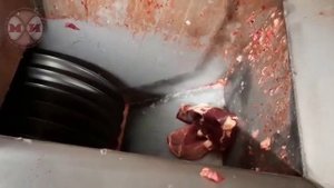 Мясорезка ММ-ФМД-14 с элеватором