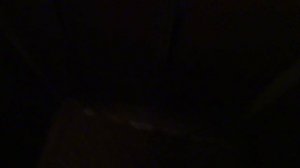 Электрический лифт (г. Пушкино), V=0,71 м-с, г-п 320 кг (15)