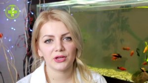 Почему Собака Гоняется За Хвостом & Зачем Собака Преследует Хвост. Ветклиника Био-Вет