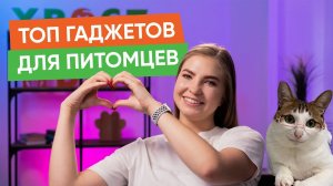 Как продлить жизнь своей кошке и другие новости “Хвост Ньюс” #121