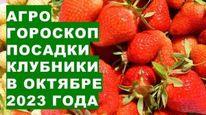 Агрогороскоп посадки клубники в октябре 2023 Agrohoroscope for planting strawberries in October 2023