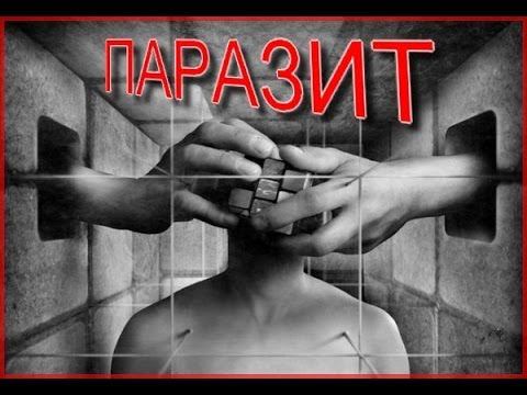 Паразиты сознания ! Кто правит миром на земле  Мысля от Эдгара