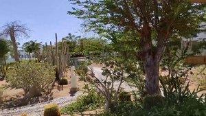 Reef Oasis Blue Bay Resort & Spa 5* Обзор 20.10.21