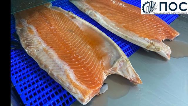 Инъектор с тонкими иглами CHAMCO Южная Корея. Для посола и инъектирования красной и белой рыбы