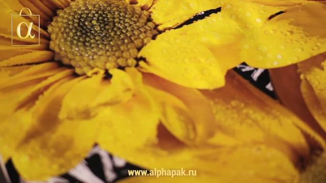 Изготовление подарочных пакетов