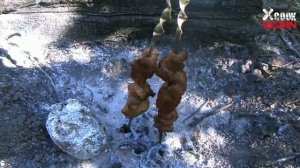 Инструкция #3: Как быстро разогреть шашлык