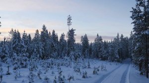 Северный прорыв: отдых в северной Карелии - снегоходные походы