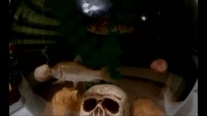 Активатор клёва на карася и карпа. Супер рыболовная насадка.