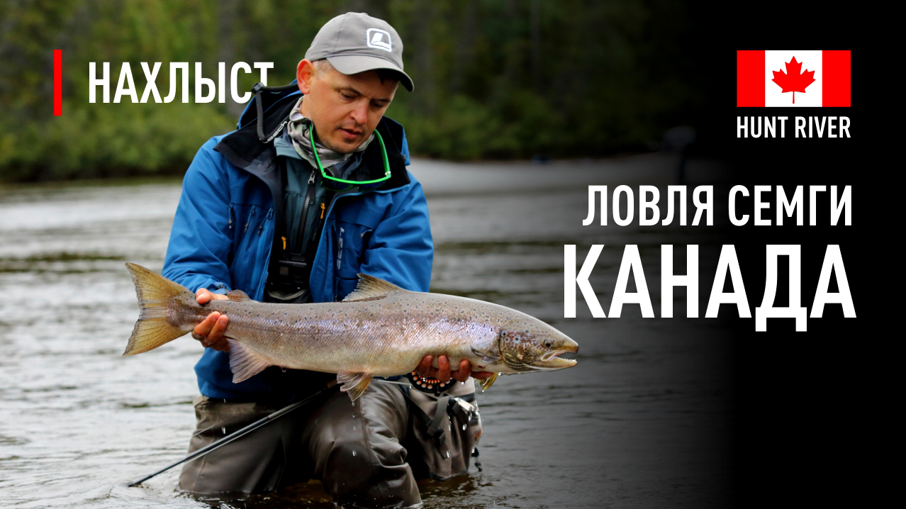 Ловля СЕМГИ в КАНАДЕ река Hunt River / Дмитрий Дроздов