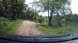 Hyundai Creta (Крета) 2.0 4WD Часть 1.