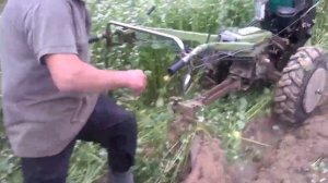 Вспашка земли (гречки) мотоблоком ЗУБР